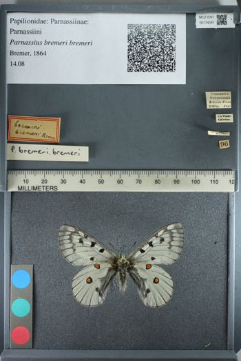 Media type: image;   Entomology 174297